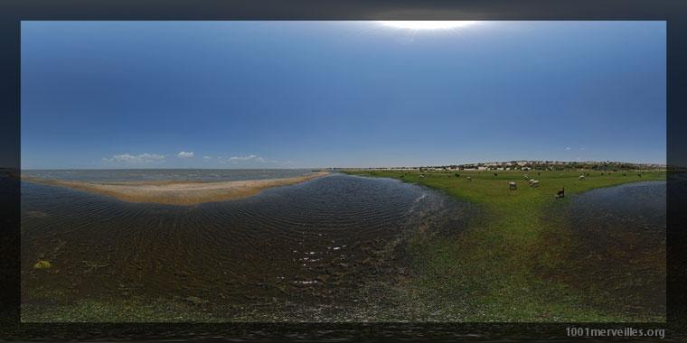 Panography in print mode Panography in print mode : Beach and lawn